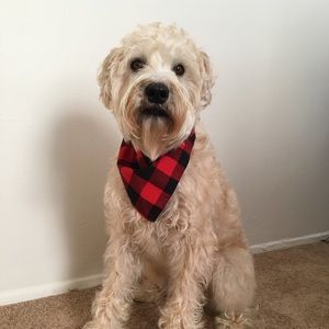 Meet your Posher, Sam